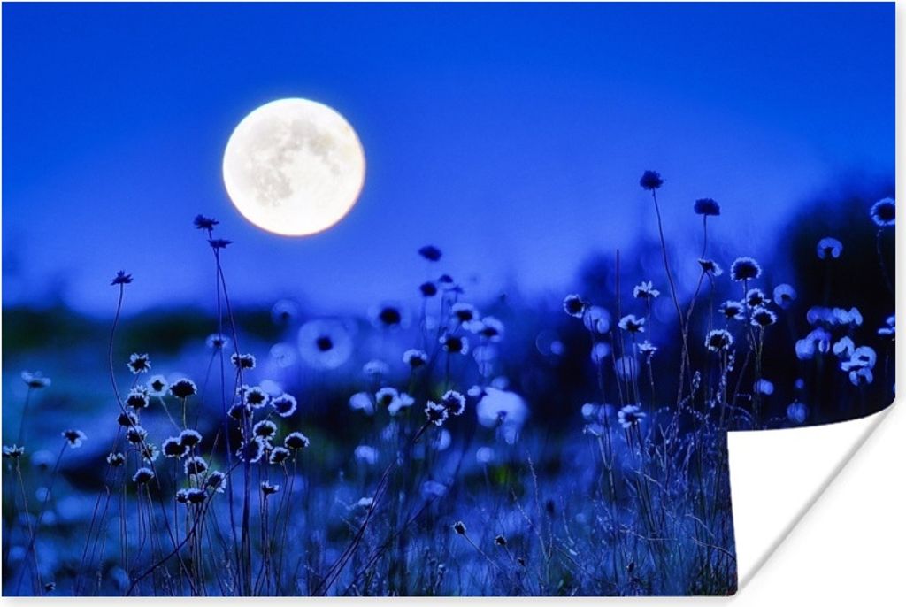 MuchoWow Poster Blumen - Mond - Lila 60x40 cm - Schlafzimmerdekoration