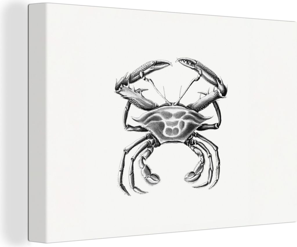OneMillionCanvasses - Leinwandbilder - 150x100 cm, Ernst Haeckel - Jahrgang - Kunst - Krabbe, Wandbilder Kunstdruck Wanddekoration - Foto auf Lei...