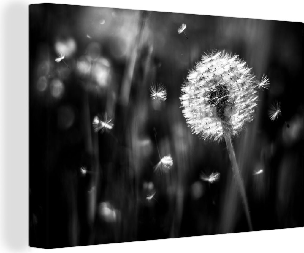 OneMillionCanvasses - Leinwandbilder - 150x100 cm, Löwenzahn - Schwarz - Weiß - Pflanze, Wandbilder Kunstdruck Wanddekoration - Foto auf Leinwa...