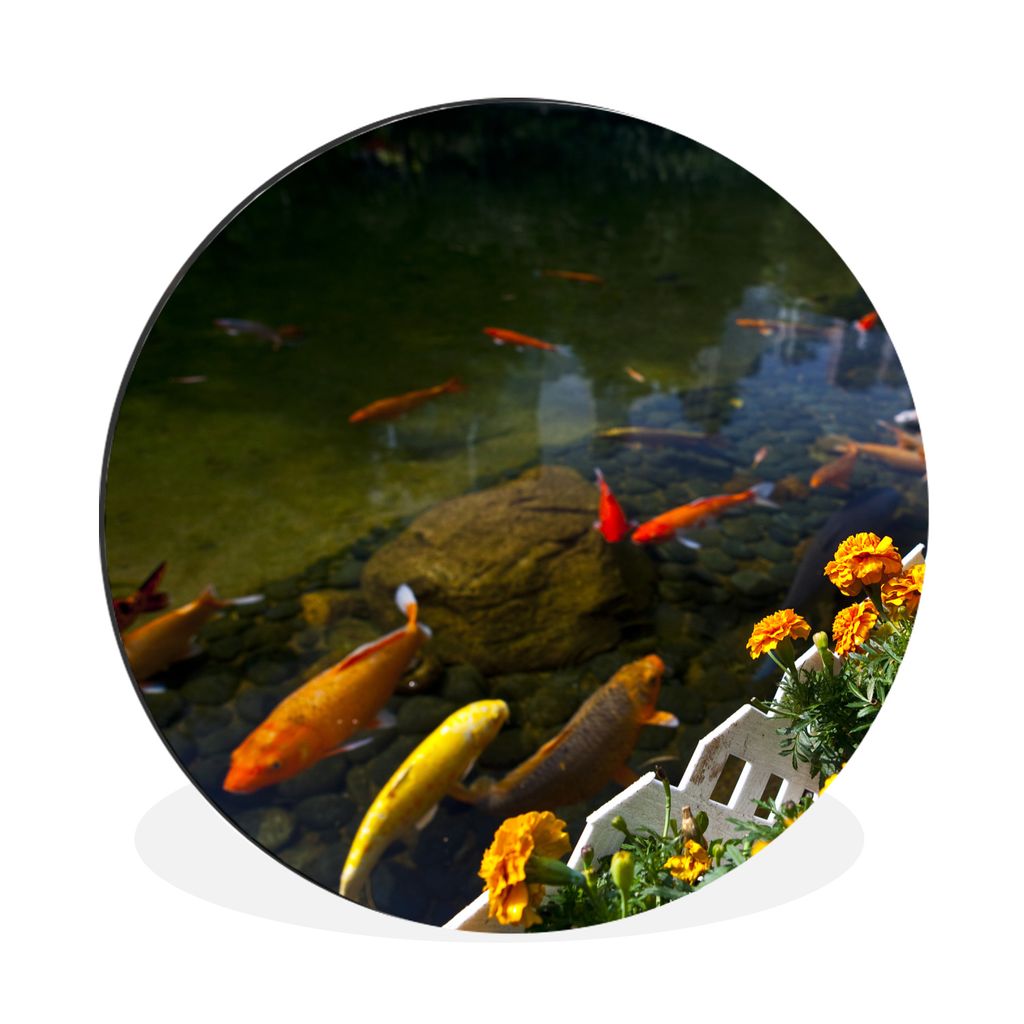 MuchoWow Aluminium Wandkreis Koi-Karpfen in einem Teich mit Blumen Ø 60 cm Wanddeko Modern Wohnzimmer - Wand Kreis - Wandbild - Schlafzimmer - A...