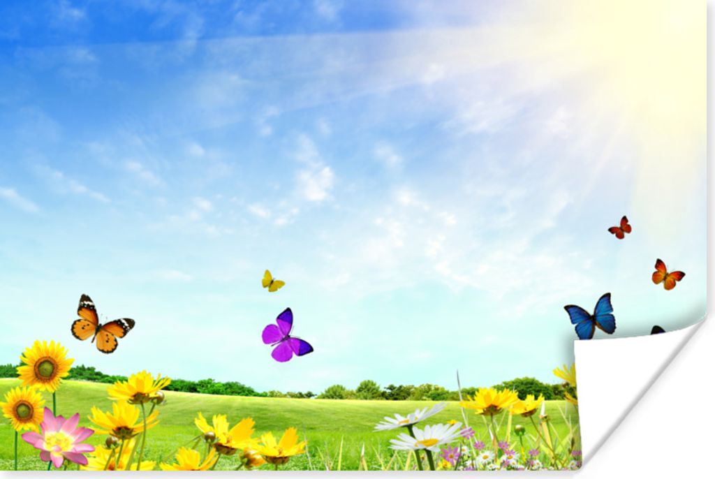 MuchoWow® Poster Blumen - Schmetterlinge - Sommer 120x80 cm Produktbild 