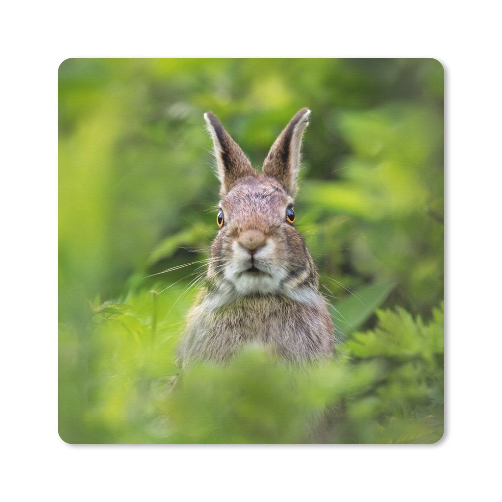 MuchoWow Mauspad Mousepad Kaninchen - Gras - Grün 30x30 cm - Mousepads - Maus Mat - Pad - Mausunterlage - Gaming