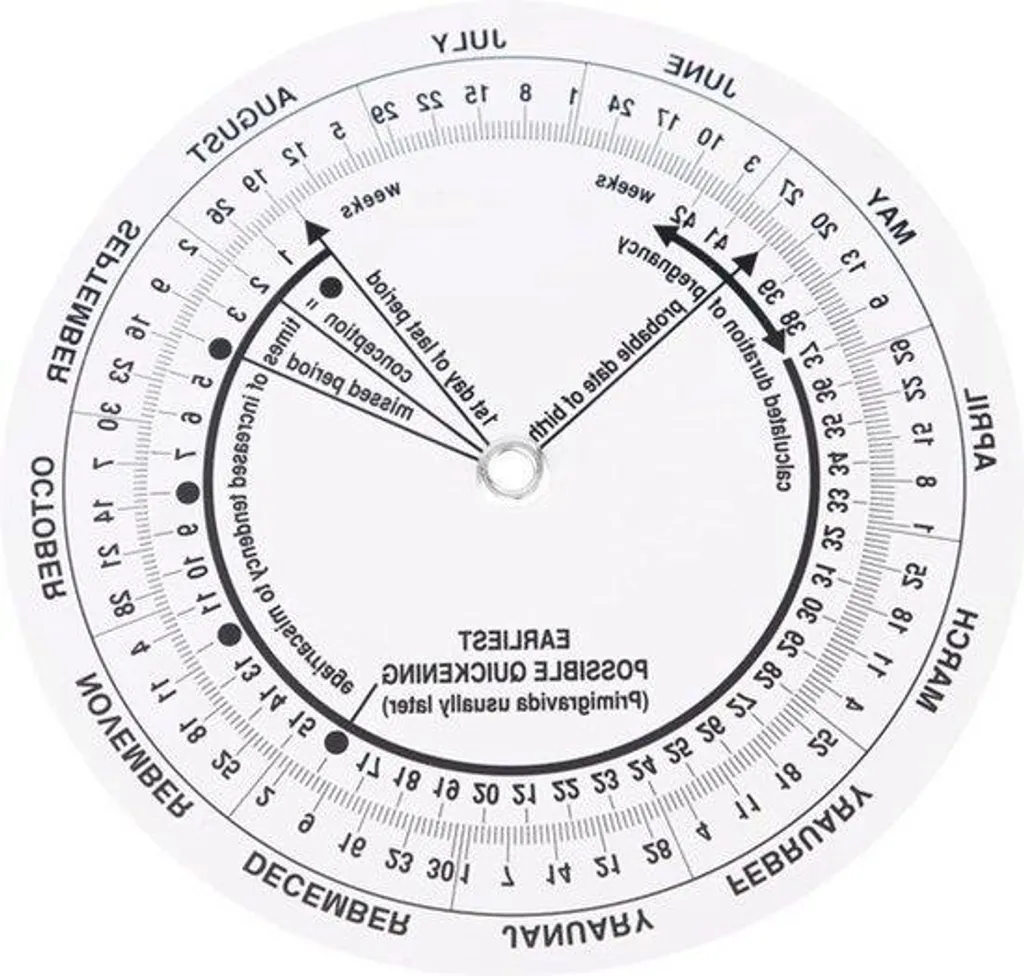 Lot de 8 disques de calcul de grossesse - Calculateur médical de DPA