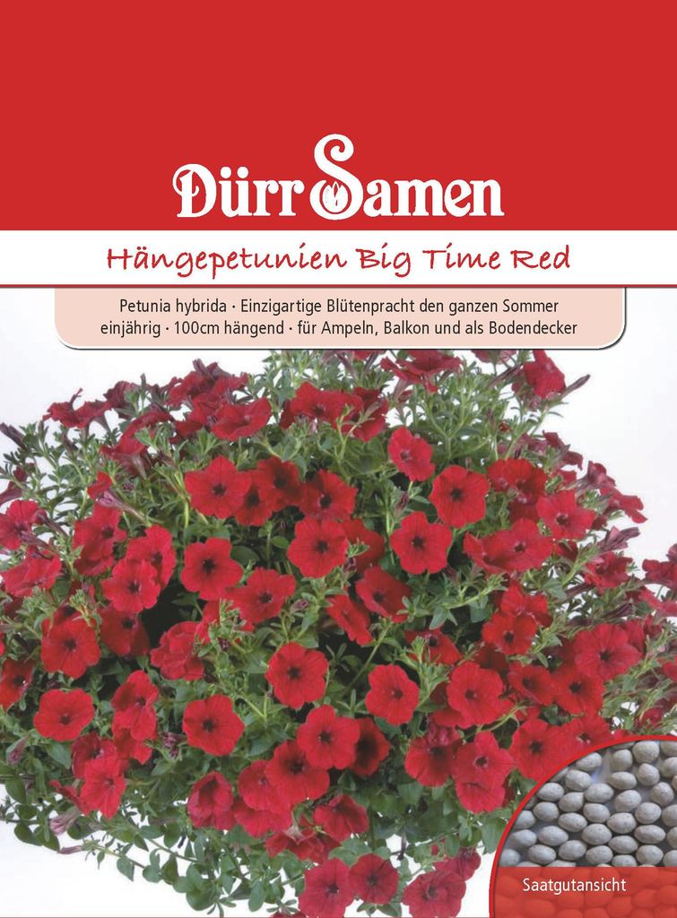 Dürr-Samen - Petunien Big Time Red einjährig 100 cm - Produktbild 