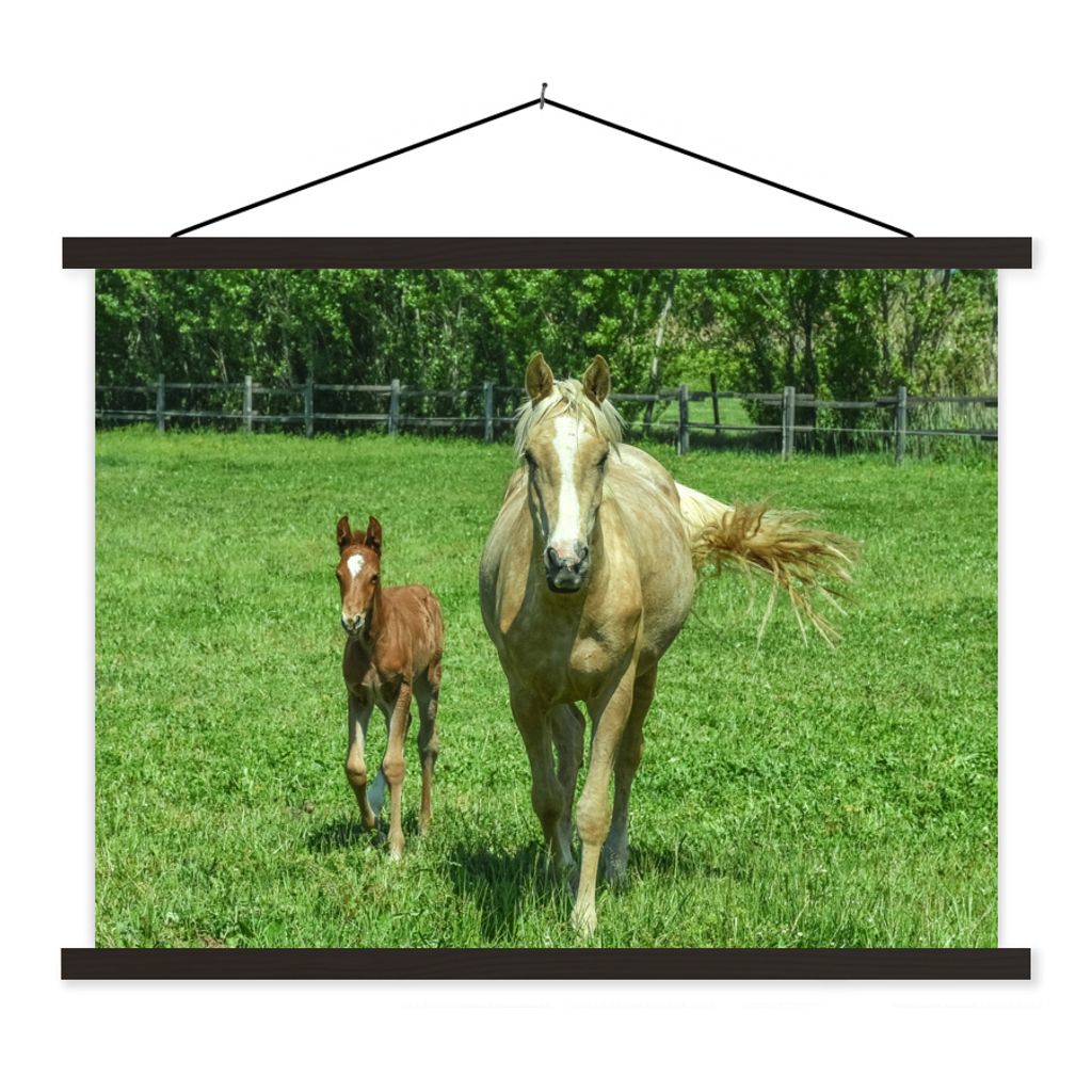 MuchoWow Textilposter Pferd - Fohlen - Tiere 40x30 cm mit schwarzem Rahmen - Dekorationen