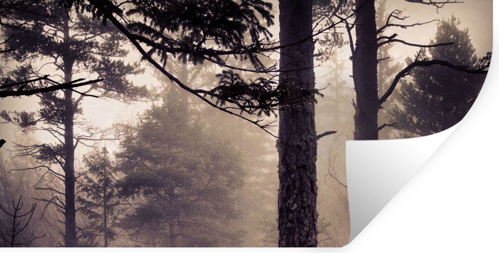MuchoWow Wandtattoo Wandsticker Wandaufkleber Nebel - Herbstdekoration - Natur - Wald 40x20 cm Selbstklebend und Repositionierbar - Aufkleber