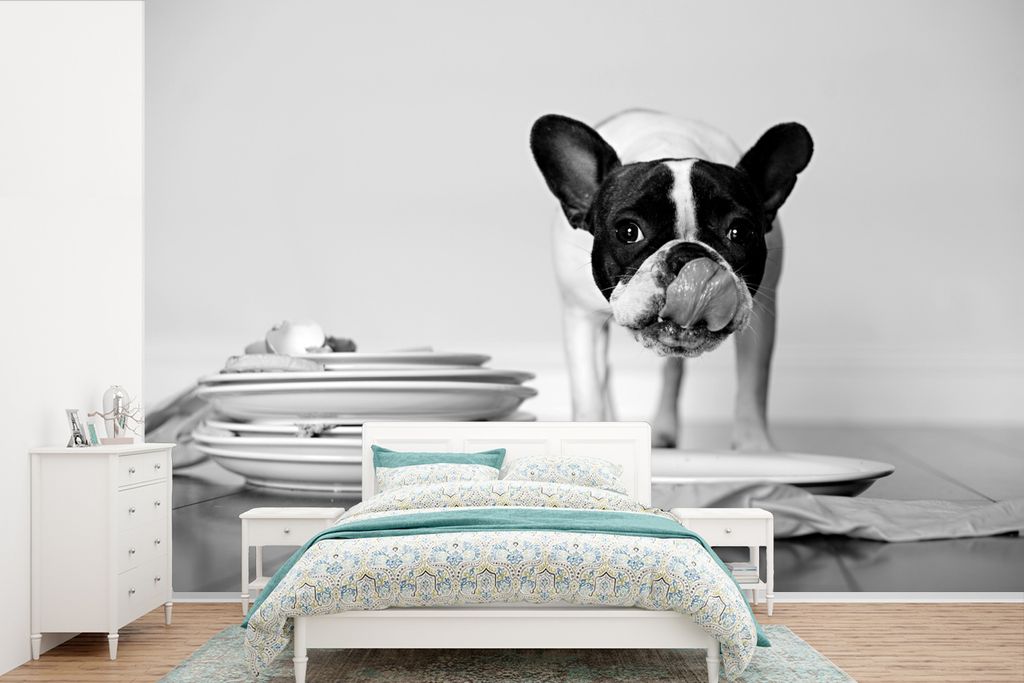 MuchoWow Fototapete für Wohnzimmer oder Schlafzimmer Wandtapete Vinyl Motivtapete Französische Bulldogge leckt Teller - schwarz und weiß - 390...
