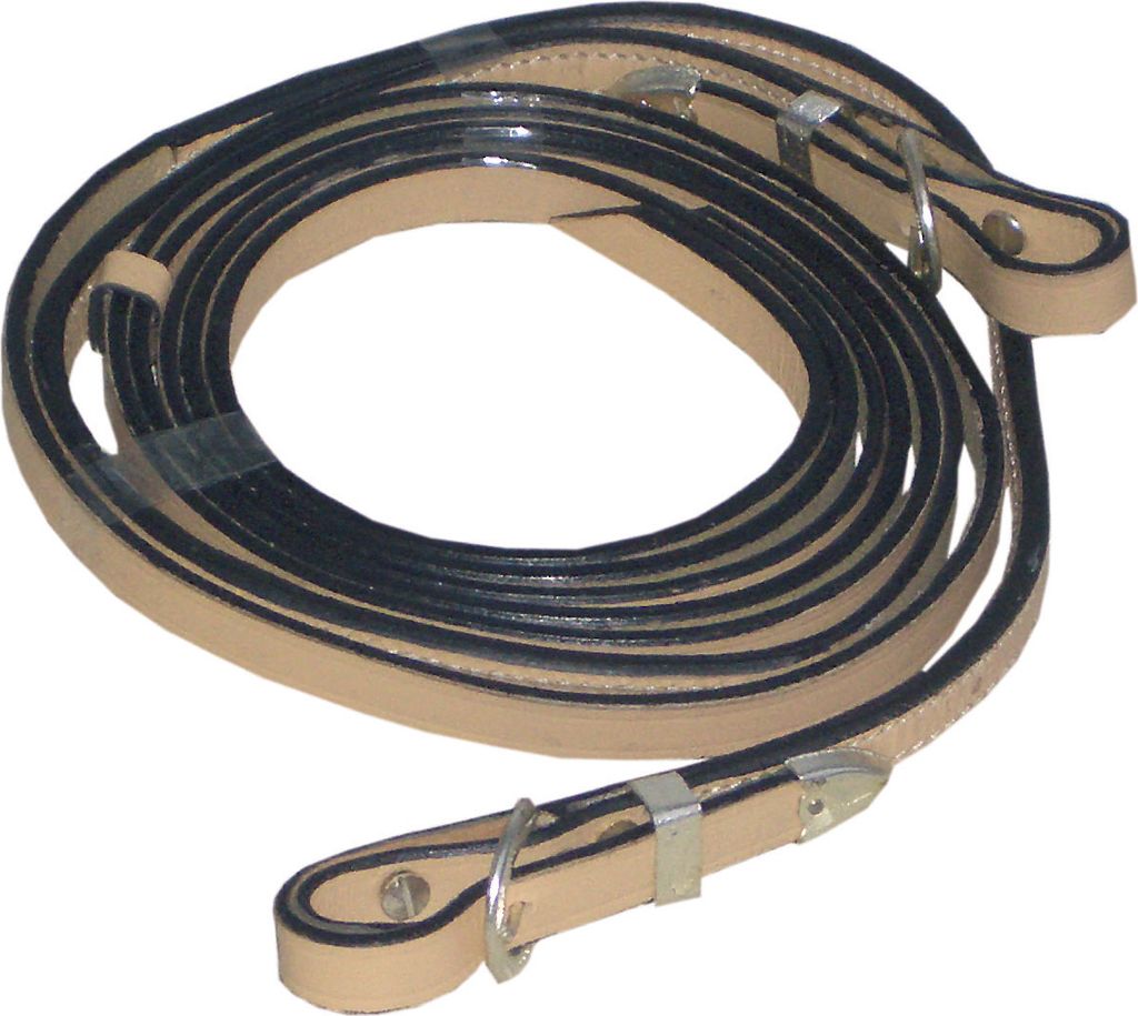 Show Westernzügel in Natur