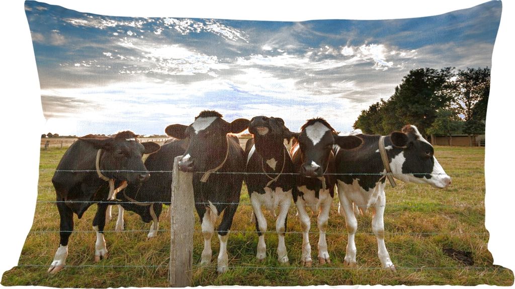 MuchoWow Zierkissen Sofakissen Wohnzimmer Dekokissen 50x30 cm Tiere - Kuh - Wohnzimmerdekoration - Polster mit Photo