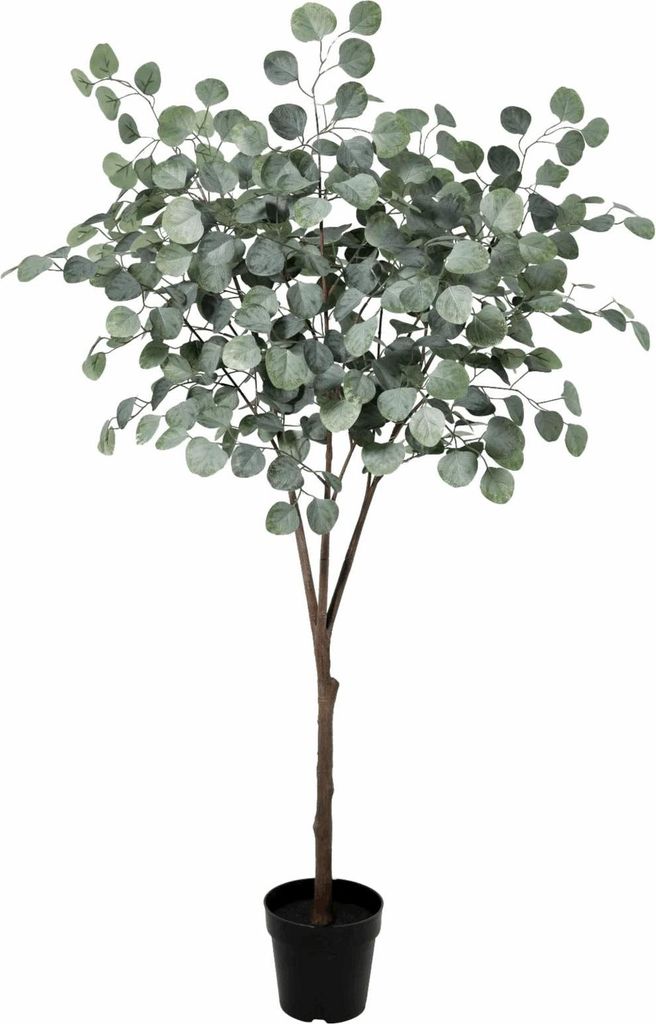 Eukalyptus Baum Kunstpflanze 150cm - Realistische Produktbild 