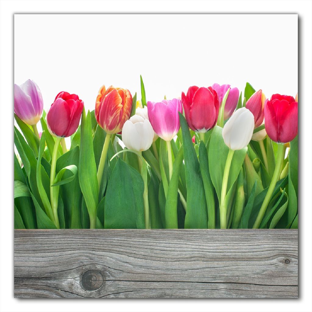 Wallario selbstklebende Möbelfolie/ Tischdecke für Innen und Außen, Größe: 80 x 80 cm - Rote weiße und pinke Tulpen im Frühling