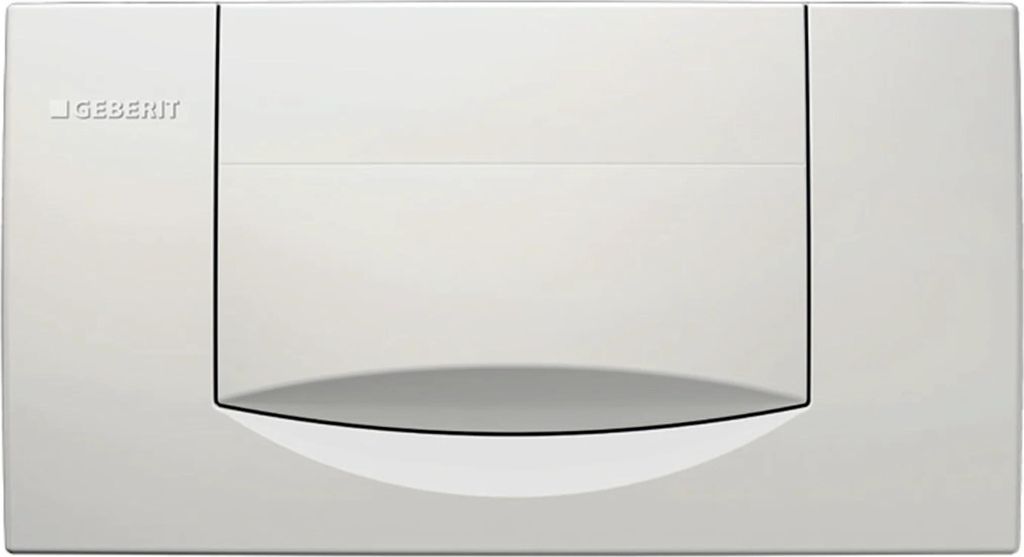 A white flush plate for a toilet cistern.