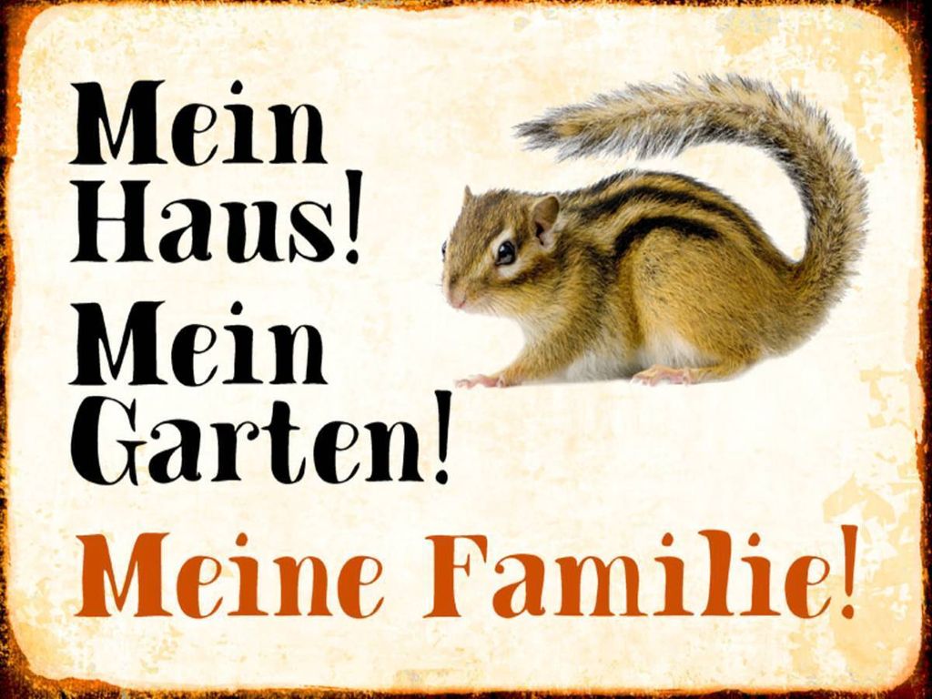 vianmo Holzschild 30x40 cm Tiere Eichhörnchen mein Haus Garten