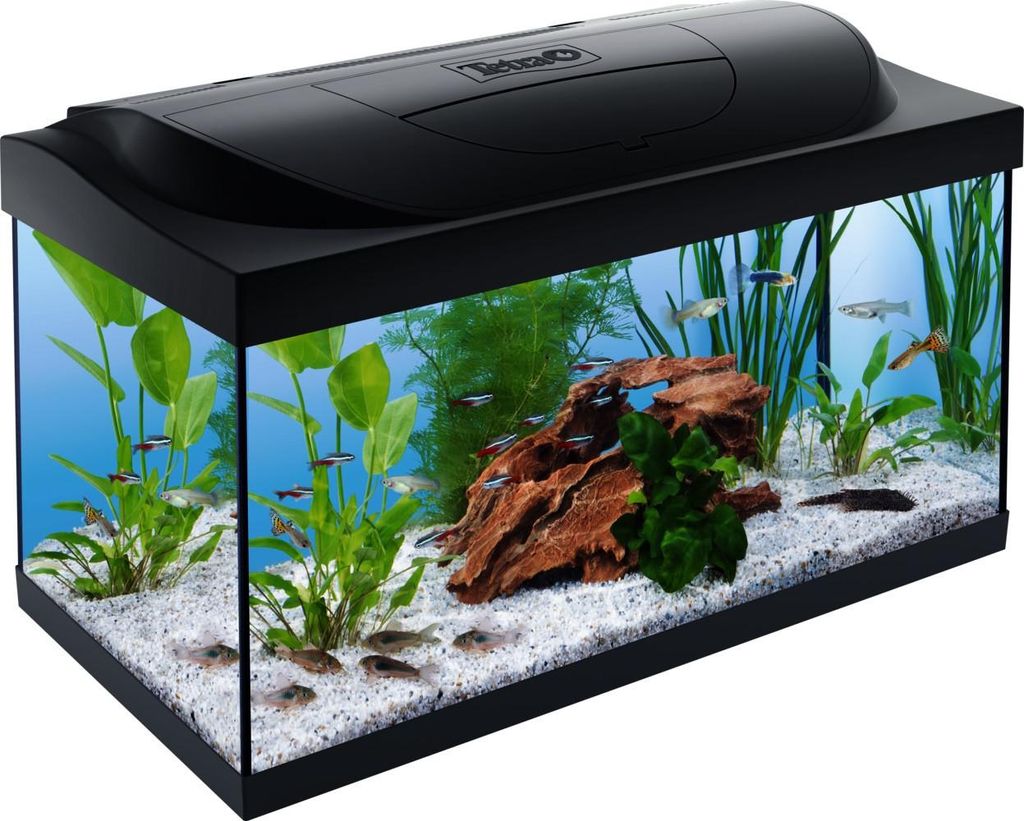 Tetra Aquarium-Komplettset LED Kleine Forscher 54 L schwarz Produktbild 