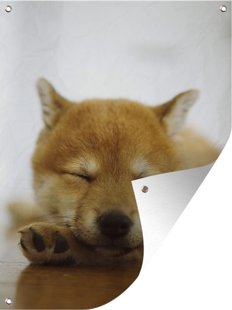 MuchoWow 60x80 cm Outdoor-Poster Gartendeko Sichtschutz Garten Poster für den Garten Schlafender Shiba Inu Welpe