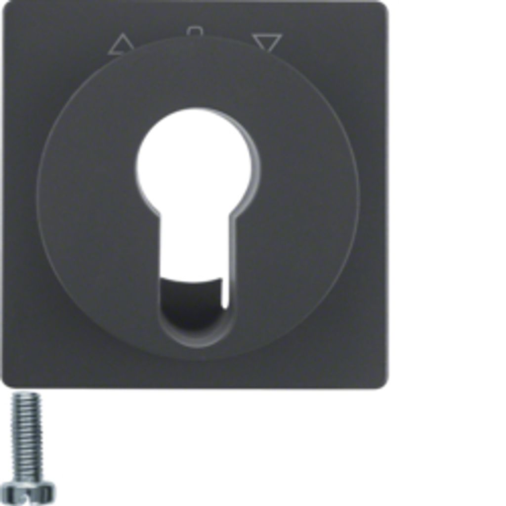 Berker 15066086 Zentralstück für Jalousie-Schlüsselschalter/-taster anthrazit samt Berker Q.1/Q.