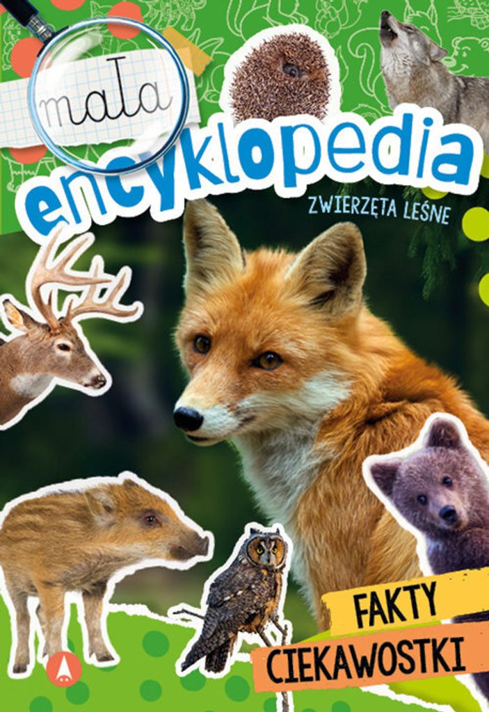 Mała encyklopedia Zwierzęta leśne - Monika Ślizowska (Buch auf Polnisch)
