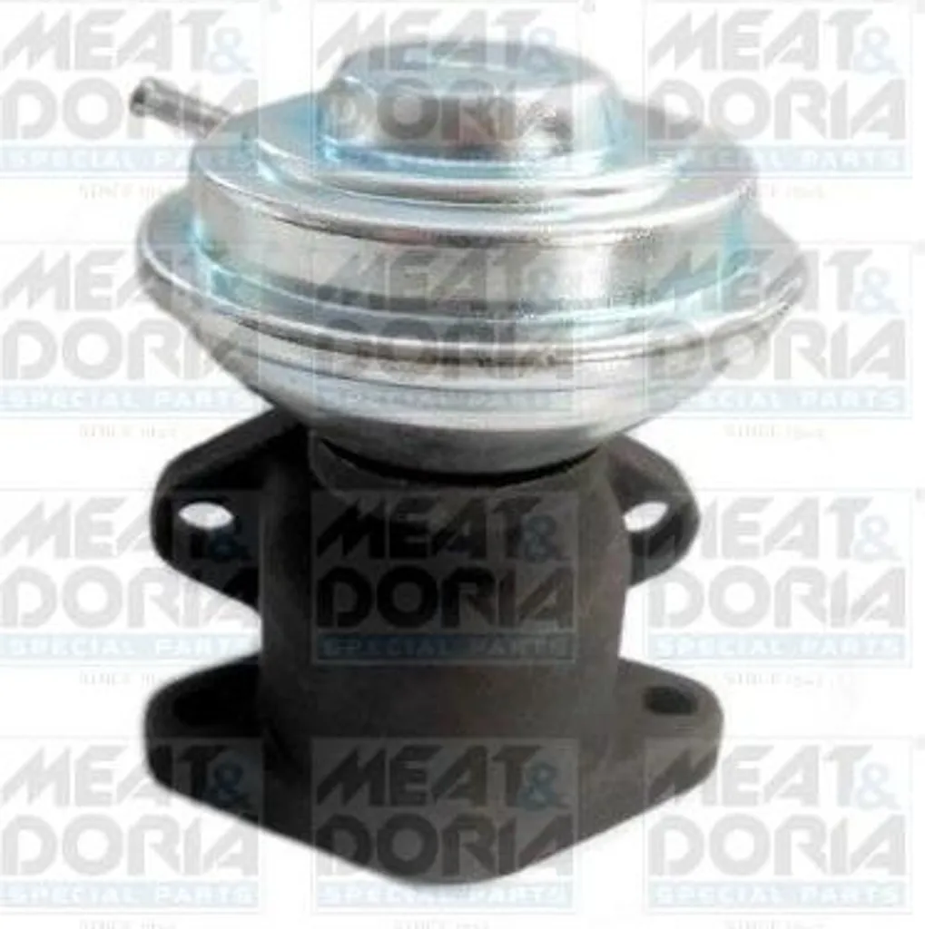 Supprimer le Voyant Moteur Audi A6 avec la Valve AGR 88025 046131503A