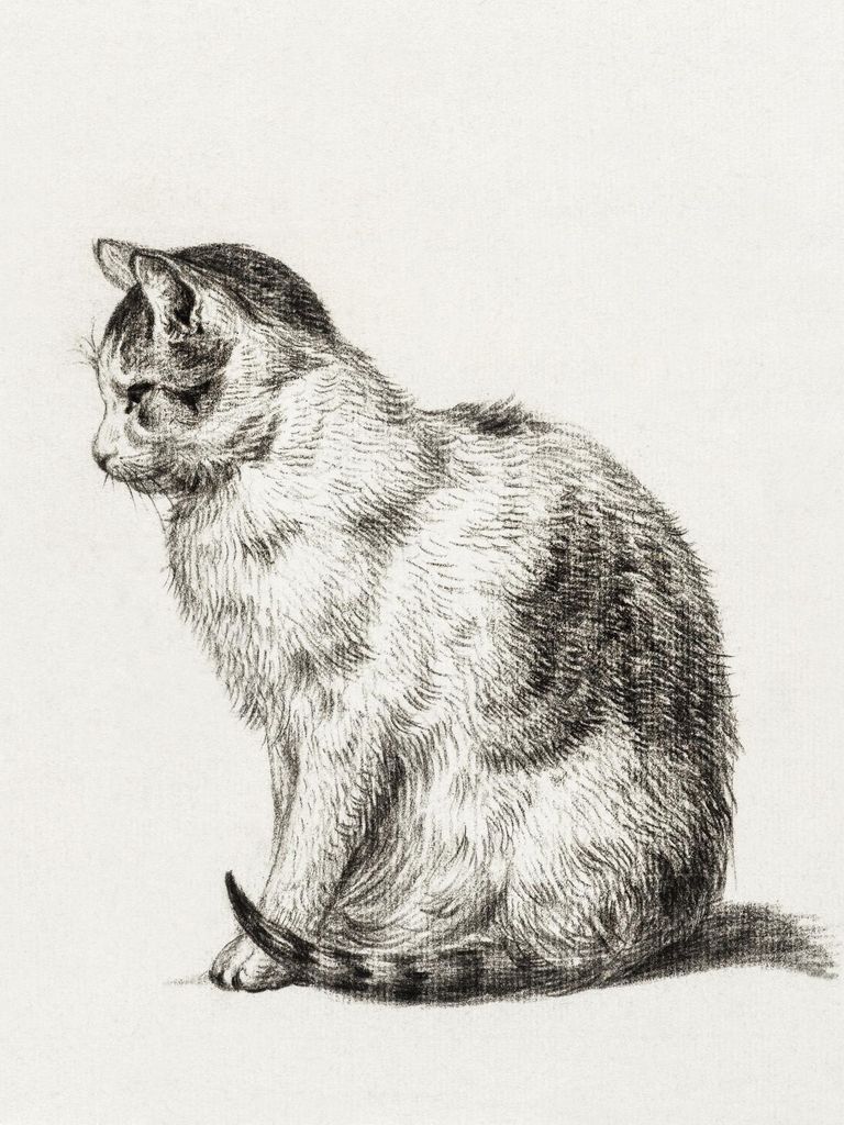 Plakat 60x80cm Sitzende Katze 3, Jean Bernard Vintage für das Wohnzimmer
