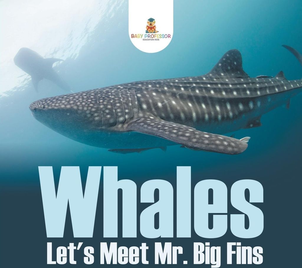 Whales - Let's Meet Mr. Big Fins