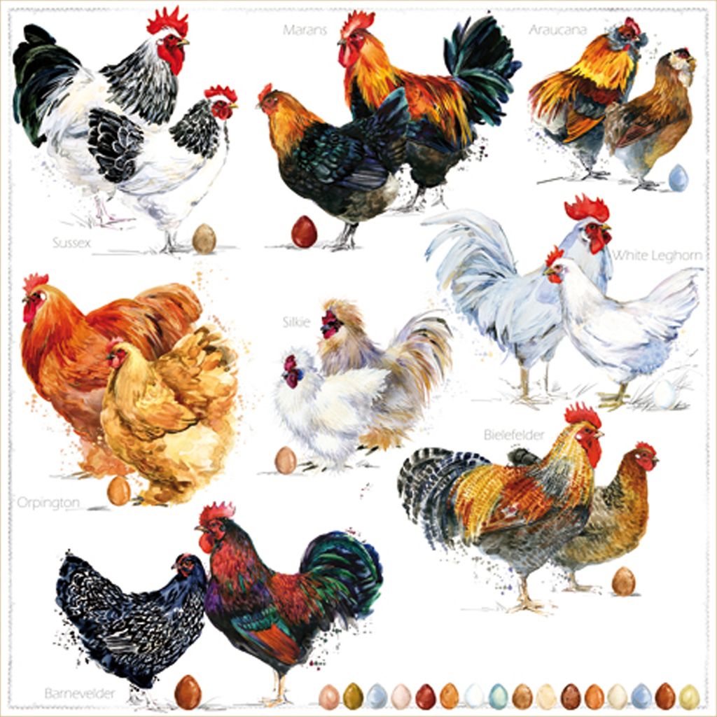 Servietten Papier 33x33cm 3-lagig Hahn und Henne 20 Stück Weiß / Braun