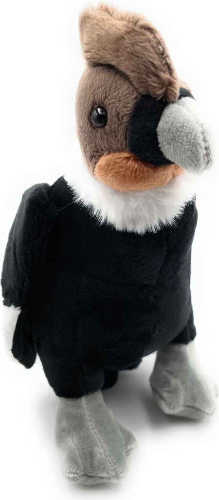 Onwomania Plüschtier Kuscheltier Stoff Tier Kondor Vogel Andenkondor Geier 21cm Schwarz