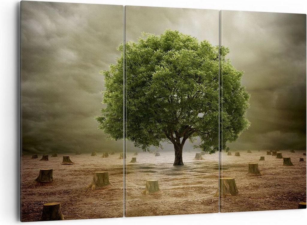 Bild auf Leinwand - Leinwandbild - Baum Feld Umwelt - 165x110cm - Wand Bild - Wanddeko - Leinwanddruck - Bilder - Kunstdruck - Wanddekoration - Lei...