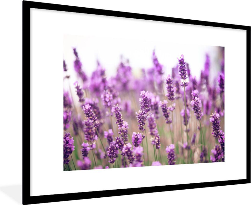 MuchoWow Gerahmtes Poster Nahaufnahme eines sonnenbeschienenen Lavendelfeldes 90x60 cm - Poster mit Schwarzem Bilderrahmen Wandposter Rahmen Foto...