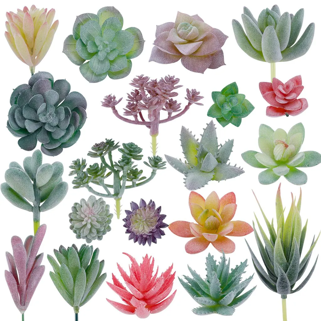 Décoration végétale sans entretien : 20 succulentes velours réalistes