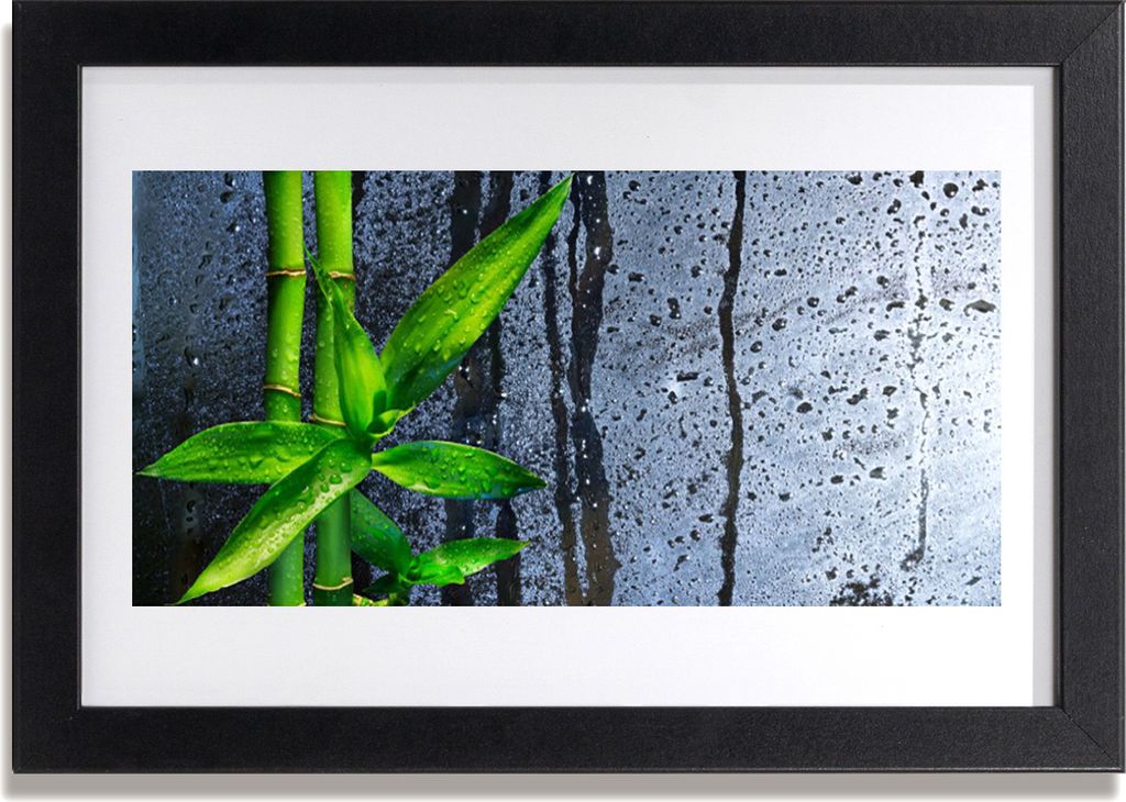 Bild 30x20 MDF-Rahmen Wandkunst Bambusblatt Natur Pflanze