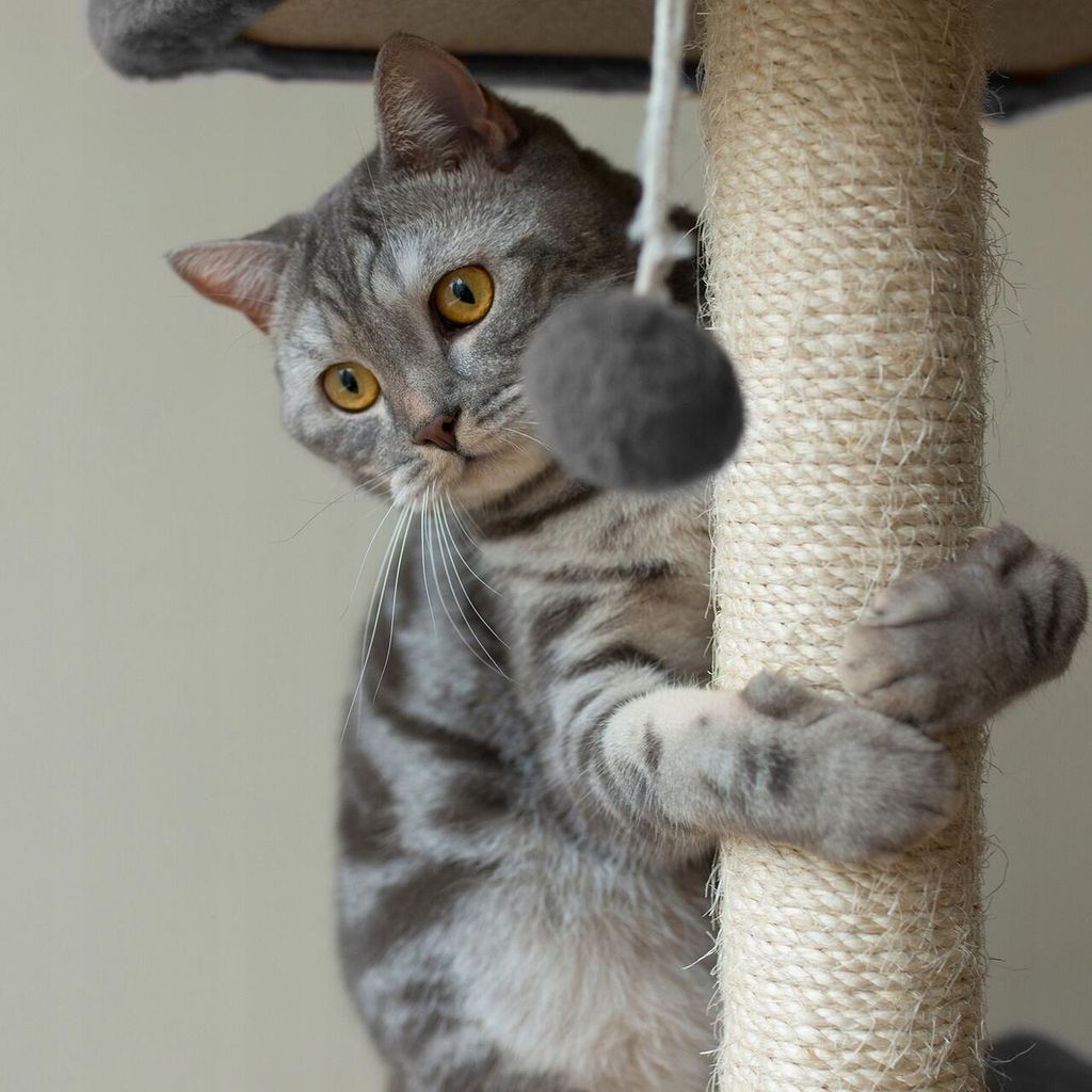 Kartonnen krabpaal voor katten, 71 cm, grijs Productafbeelding 