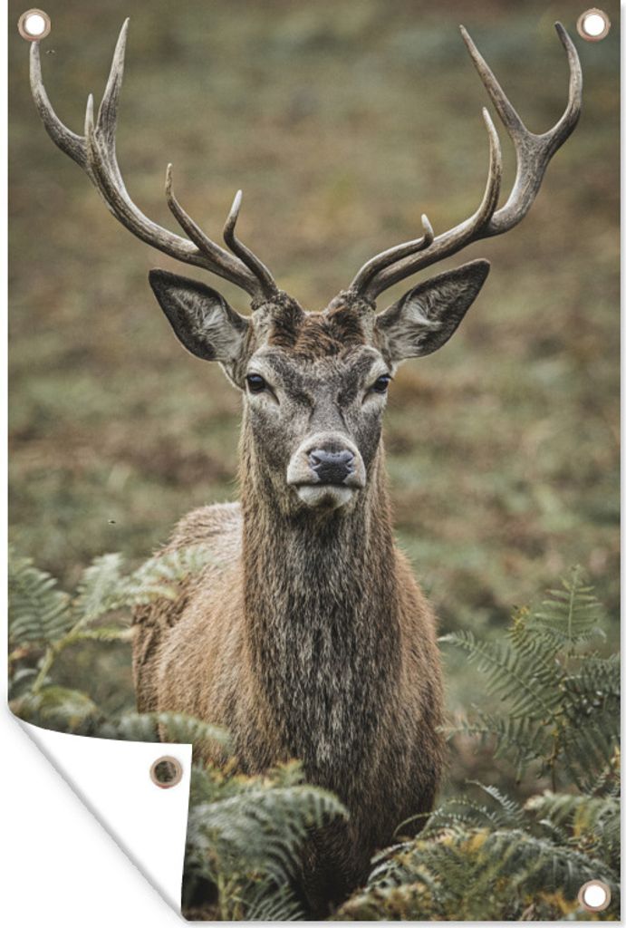 MuchoWow 60x90 cm Outdoor-Poster Gartendeko Sichtschutz Garten Poster für den Garten Hirsche - Geweihe - Blätter