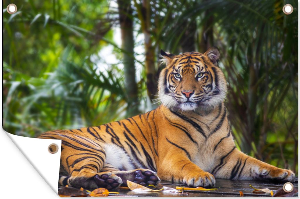 MuchoWow 120x80 cm Outdoor-Poster Gartendeko Sichtschutz Garten Poster für den Garten Tiger - Tiere - Wald - Dschungel