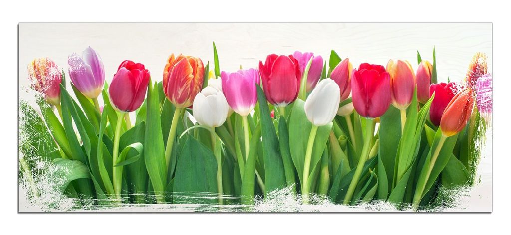 Wallario Kunstdrucke Wandbilder Holz in : Brillante Farben, Größe 50 x 125 cm Motiv Rote weiße und pinke Tulpen im Frühling