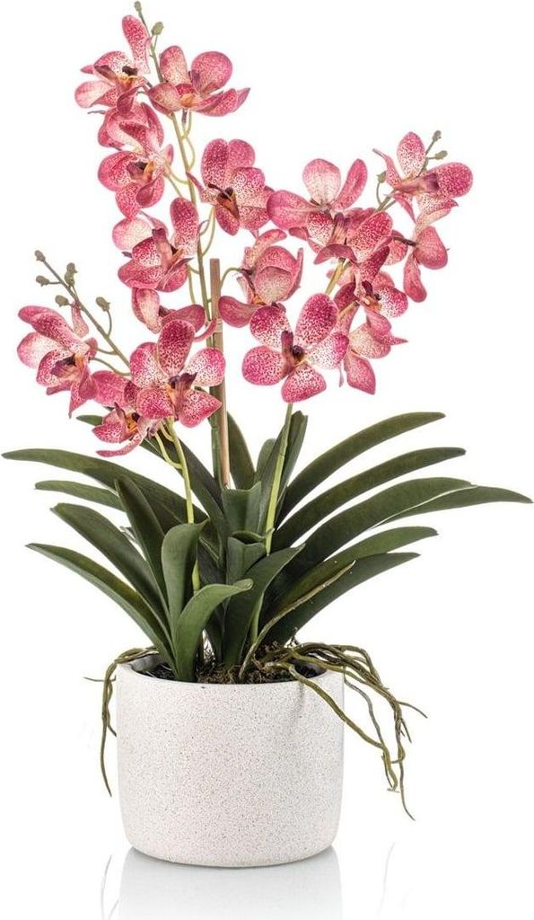 artplants.de Deko Vanda Orchidee PAVRA im Keramiktopf, Wurzeln, pink-weiß, 60cm - Künstliche Orchidee