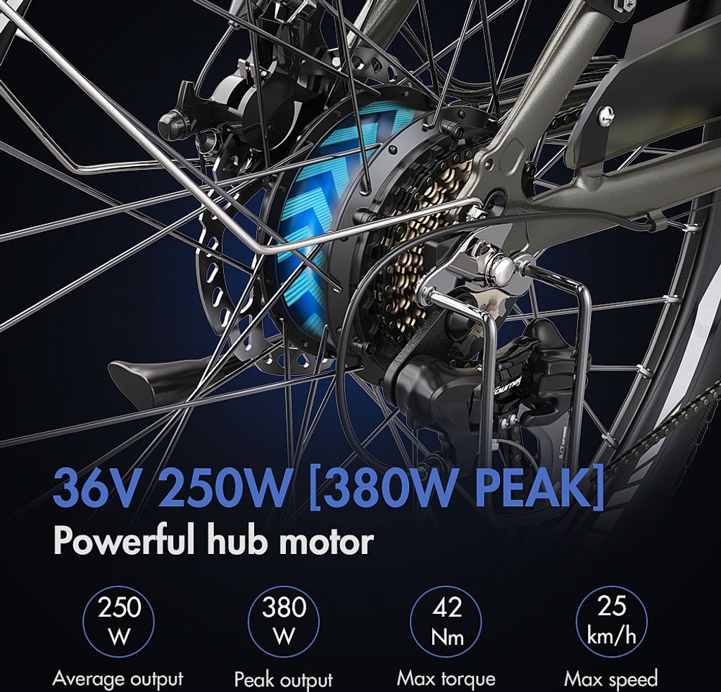 FAFREES 26 Zoll E-Bike 25 km/h 250W Motor 36V 10Ah Produktbild 8