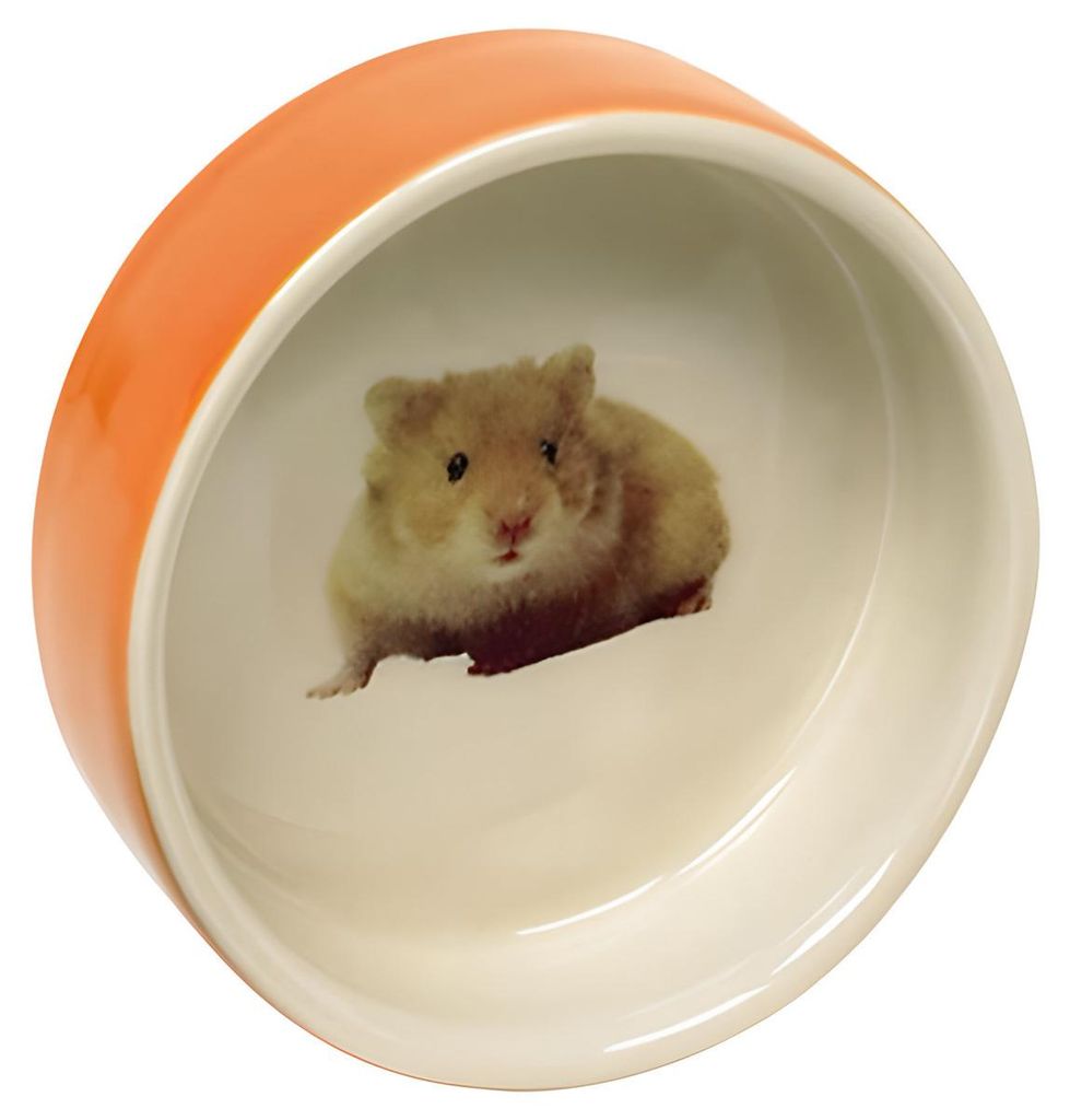 Nobby Hamster Keramikschale orange Produktbild 
