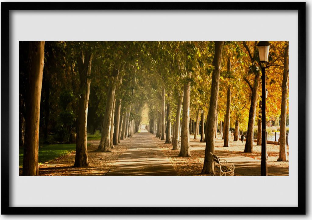 Bild 100x70 MDF-Rahmen Wandkunst Alley Park Landschaft
