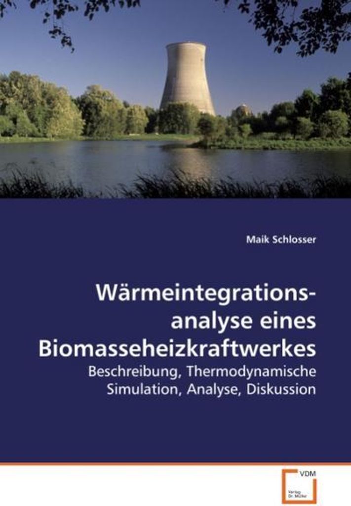 Schlosser, M: Wärmeintegrationsanalyse eines Biomasseheizkra