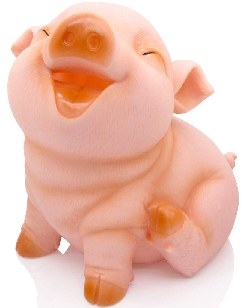 Kinder-Sparschwein, unzerbrechliche Spardose, Spardose für Jungen und Mädchen, Spardose mit schrägem Auge, Geburtstagsgeschenk
