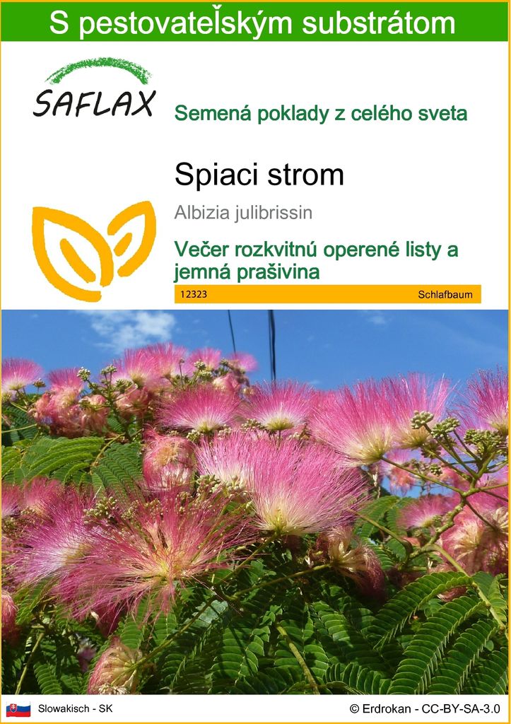 SAFLAX - spiaci strom - Albizia julibrissin - 50 Semená - S Obrázok produktu 