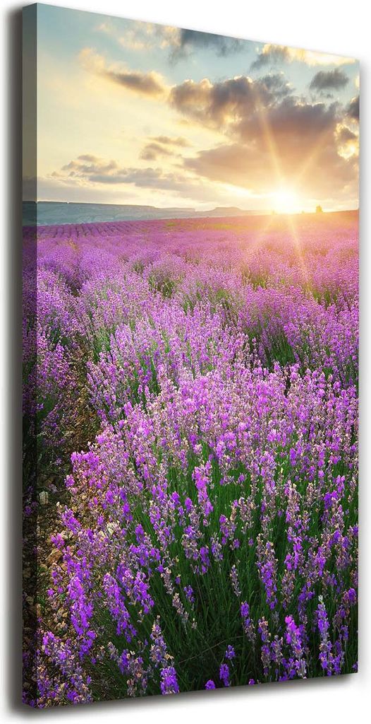 Tulup Leinwandbild - 70x140cm - Wandkunst - Drucke auf Leinwand - Leinwanddruck - Wohnzimmer Wanddekoration XXL - Wohnung Deko Kunstdrucke - Land...
