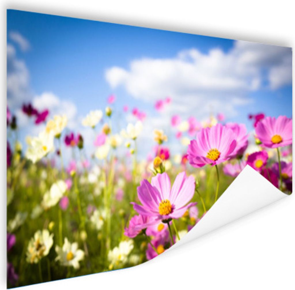 MuchoWow Poster Blumen - Wiese - Lila - Gras - Weiß - Wolken - Blau 90x60 cm - Schlafzimmer