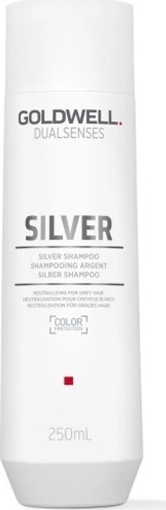 Goldwell Dualsenses Silver Shampoo – 300 Ml (10,1 Oz) Für Graues & Kühles Blondes Haar, Gegen Gelbstiche