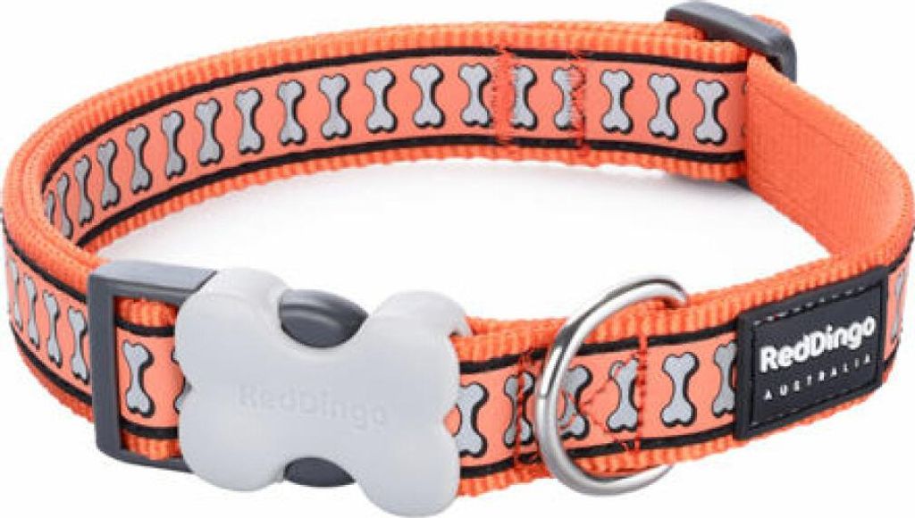 Hundehalsband Red Dingo Reflektierend Orange (2,5 x 41-63 cm)