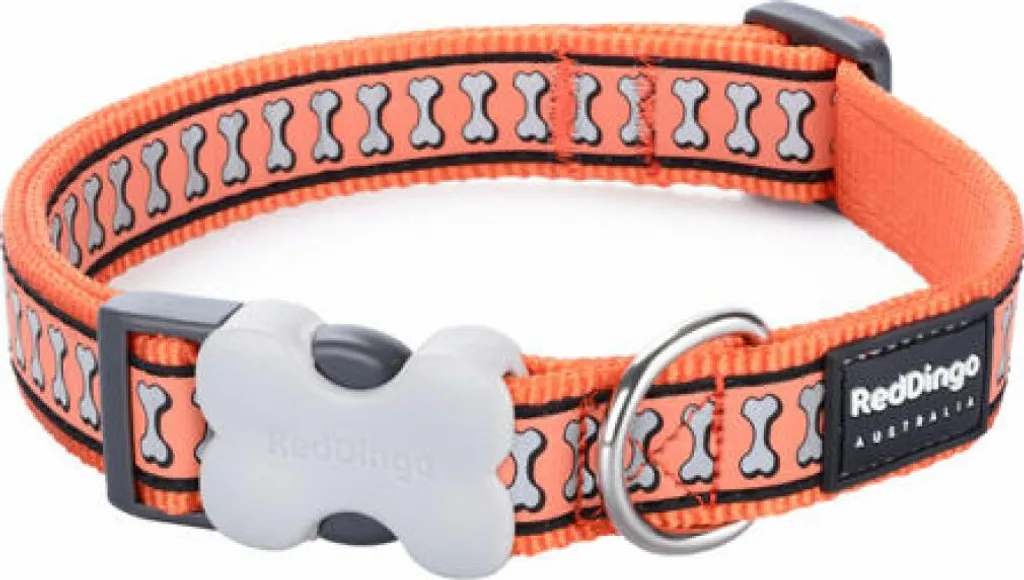 Red Dingo Collare Arancione Riflettente 31-47cm | Stile Urbano e Sicuro