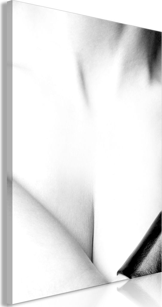 Vlies Leinwandbild - Grace (1 Part) Vertical 20x30 cm Menschen h-C-0136-b-a