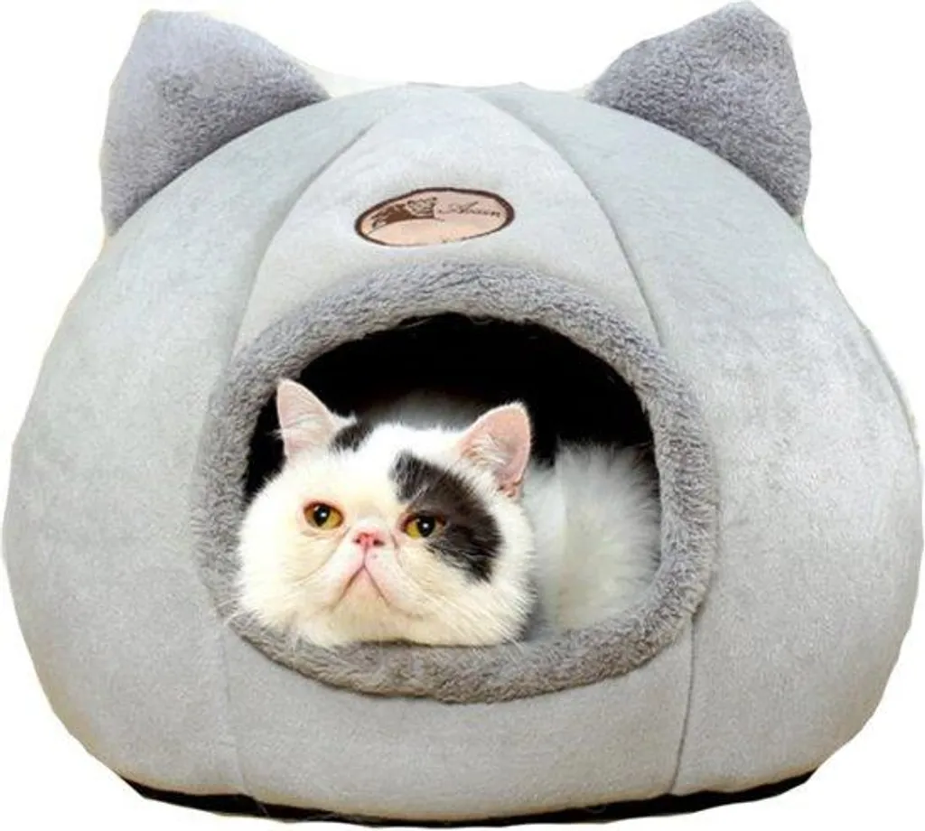 Abri pour chat d'extérieur et intérieur chaud avec coussin grand confort