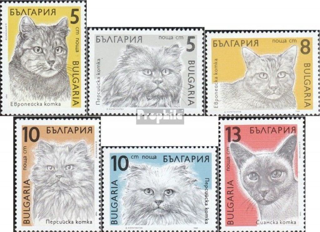 Briefmarken Bulgarien 1989 Mi 3808-3813 (kompl.Ausg.) postfrisch Katzen