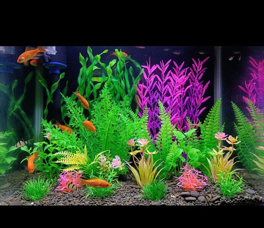 Künstliche Aquarienpflanzen – Set Aus Kunststoff, Grün, Mit Sockel, 20 Cm Hoch, Aquarium Deko Für Fische